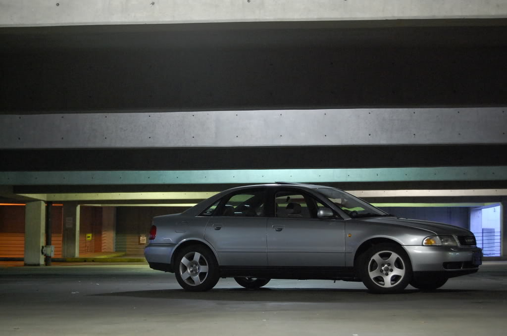 Name:  DSC_0091.jpg
Views: 23
Size:  88.7 KB