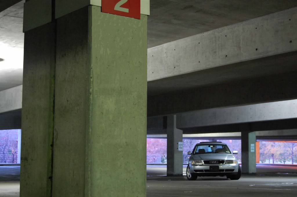 Name:  DSC_00941.jpg
Views: 18
Size:  60.6 KB