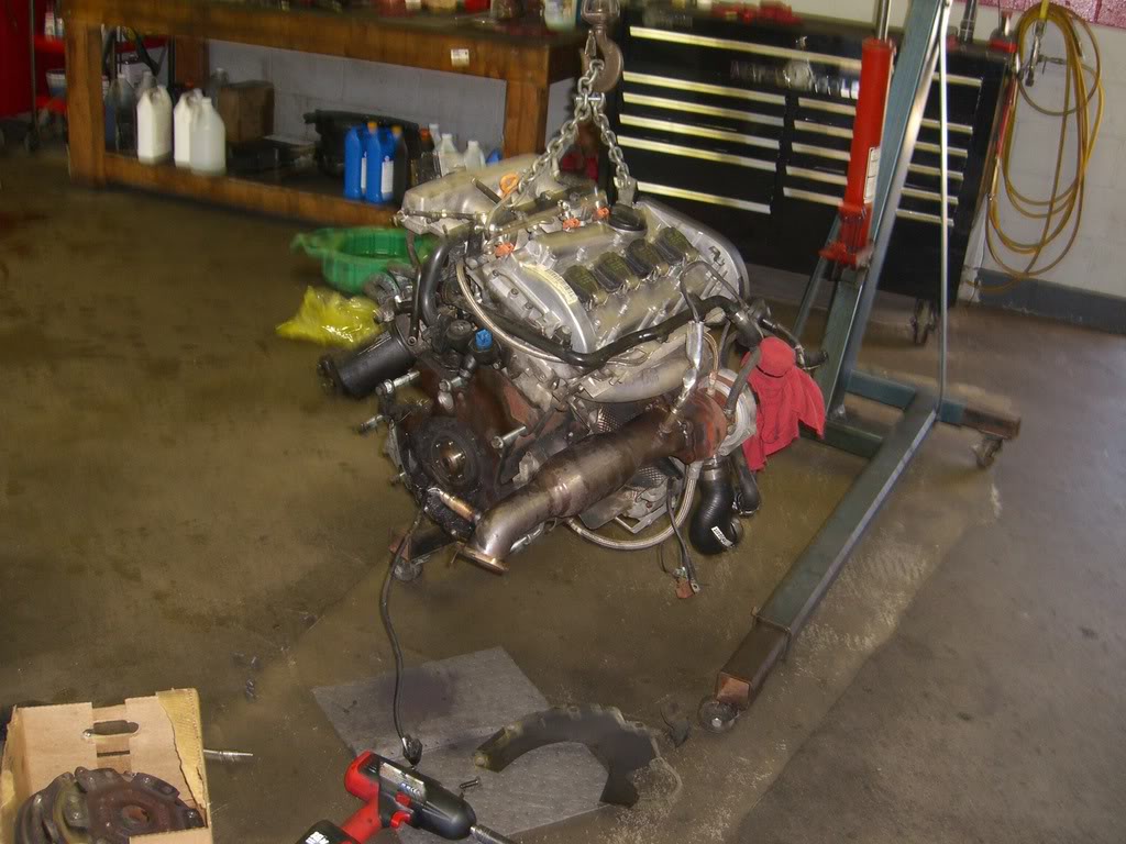 Name:  CIMG0983.jpg
Views: 50
Size:  152.5 KB