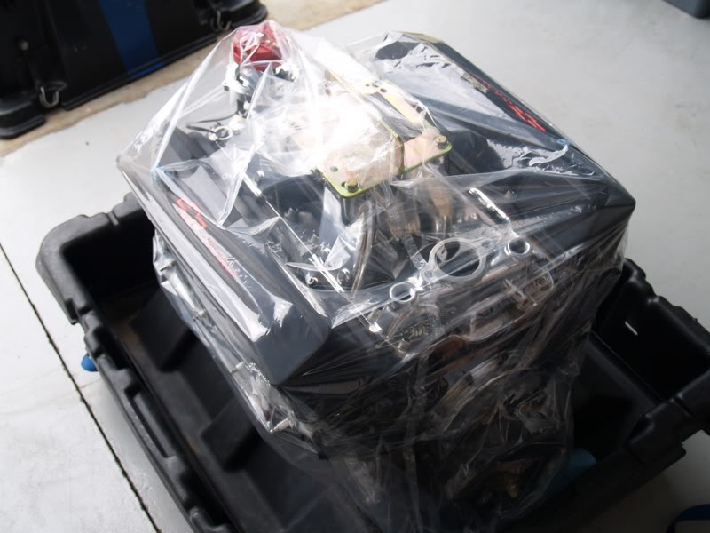 Name:  PB256531.jpg
Views: 74
Size:  70.5 KB