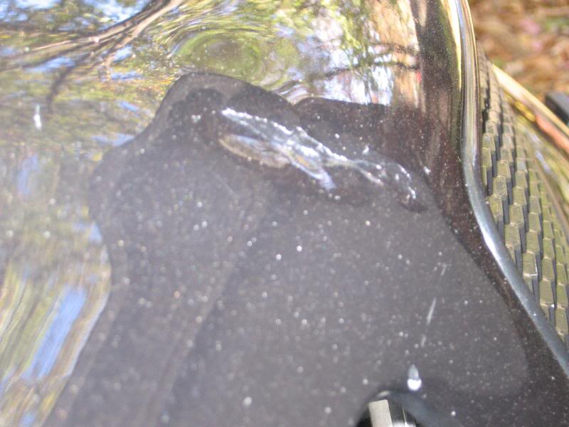 Name:  IMG_0680.jpg
Views: 16
Size:  57.2 KB