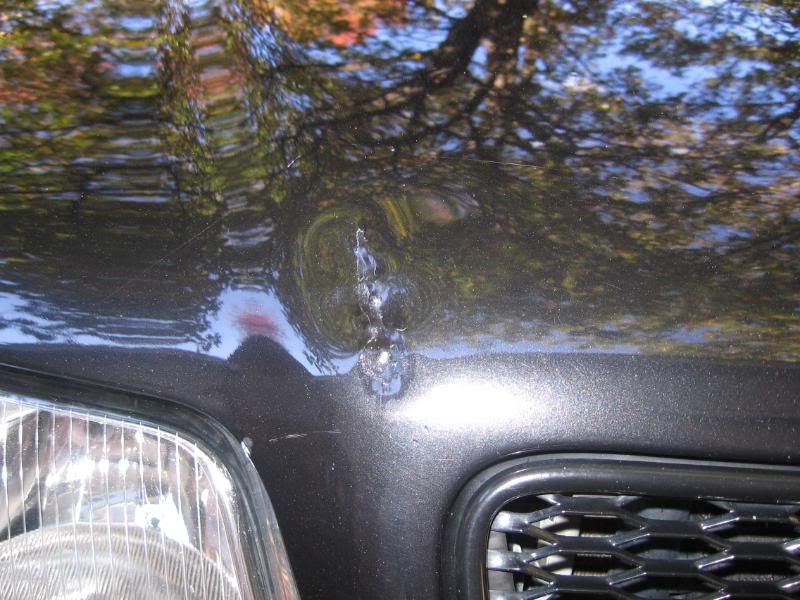 Name:  IMG_0678.jpg
Views: 16
Size:  83.6 KB