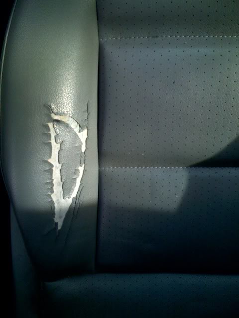 Name:  photo2.jpg
Views: 28
Size:  34.6 KB