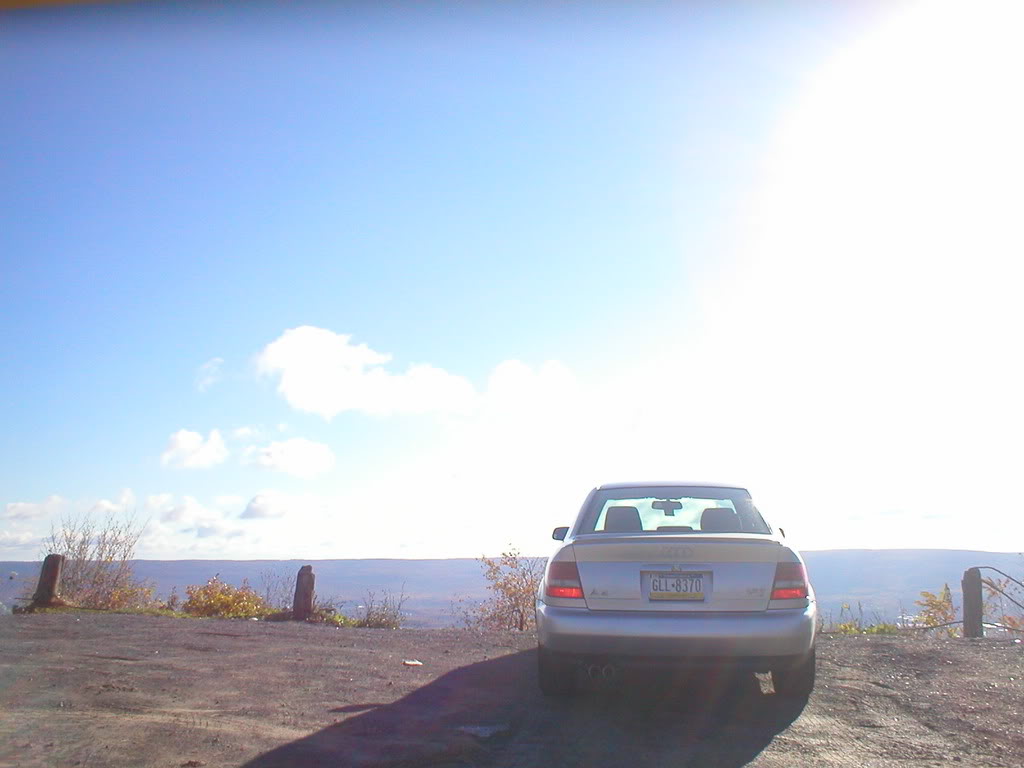 Name:  car20.jpg
Views: 39
Size:  68.7 KB