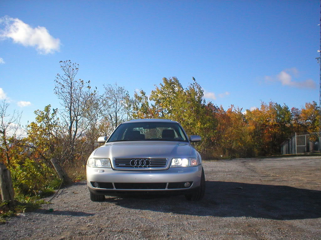 Name:  35.jpg
Views: 47
Size:  151.3 KB