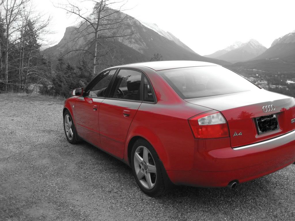 Name:  IMG_1958.jpg
Views: 24
Size:  126.2 KB