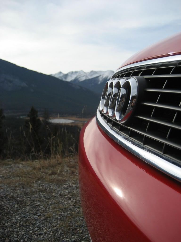 Name:  IMG_1955.jpg
Views: 23
Size:  74.6 KB