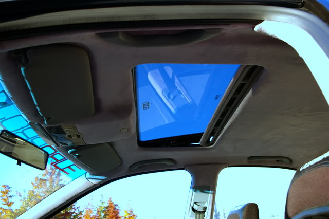 Name:  IMGP3725.jpg
Views: 74
Size:  43.7 KB