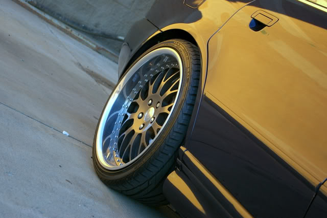 Name:  IMGP3739.jpg
Views: 84
Size:  44.0 KB