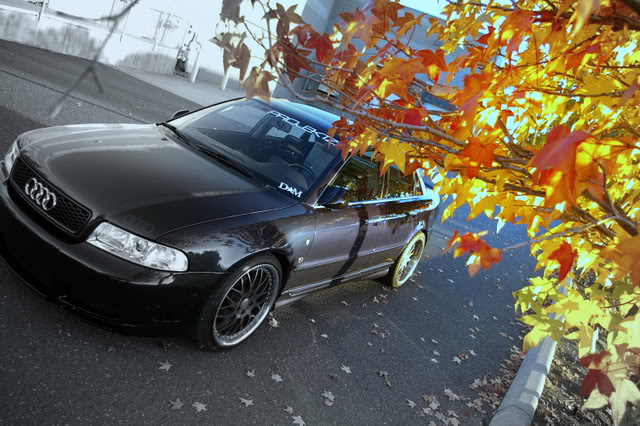 Name:  IMGP3836.jpg
Views: 90
Size:  88.4 KB