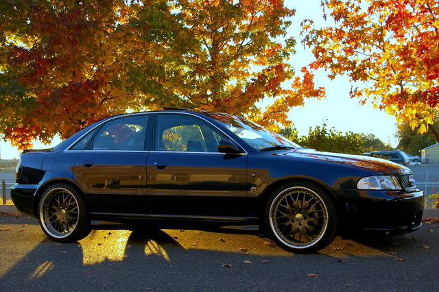 Name:  IMGP3824.jpg
Views: 77
Size:  104.3 KB