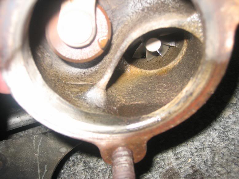 Name:  IMG_4092.jpg
Views: 3320
Size:  62.8 KB