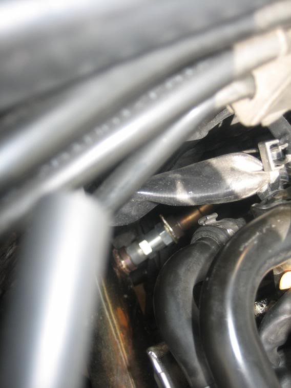 Name:  IMG_0848.jpg
Views: 83
Size:  38.5 KB