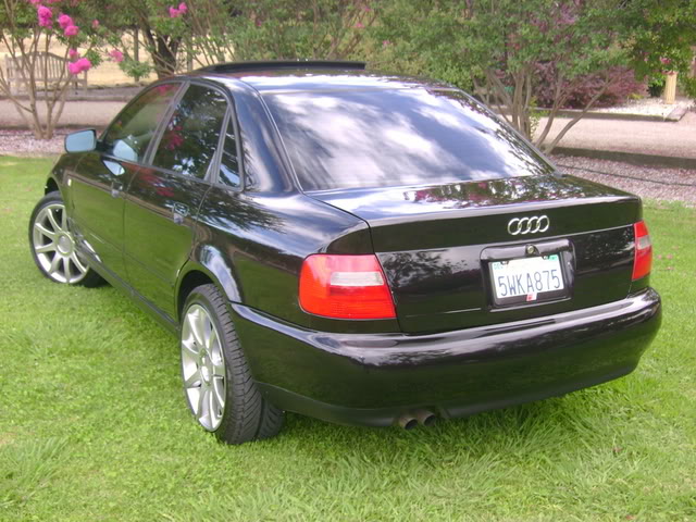 Name: DSC00169.jpg
Views: 36
Size: 97.6 KB