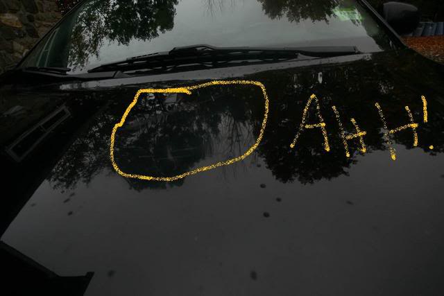 Name:  cardent042.jpg
Views: 273
Size:  30.6 KB