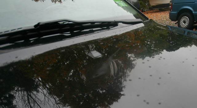 Name:  cardent040.jpg
Views: 113
Size:  26.9 KB