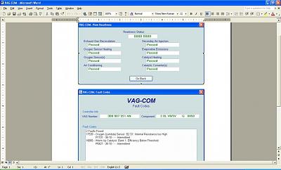Oxygen Sensor/Cat Problems-vag-com.jpg