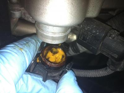 Audi A6 Quattro 3.0 Noise-yellow-gunk.jpg