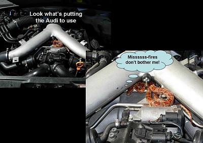 Lexus SC400 Down, Audi A6 Up-underhood2.jpg