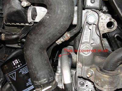 Identify the Oil Leak-leak-zoom-out.jpg