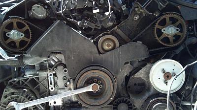 2003 A6 4.2 Quattro Timing Belt Replacement-2003-a6.jpg