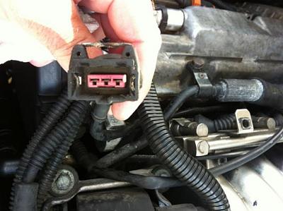 Can anyone please help me identify?-photo2.jpg