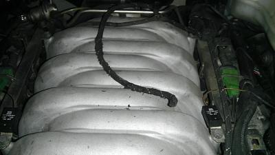 What The Heck Is This !!!!-imag0253.jpg