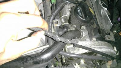 What The Heck Is This !!!!-imag0257.jpg