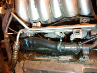 What hose is this?-dsc00423.jpg