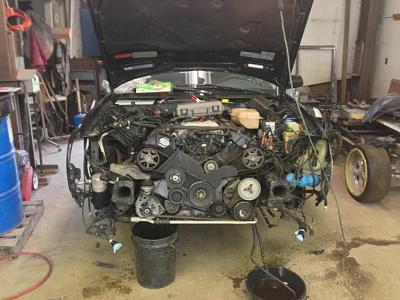 2001 A6 Timing belt failure.-photo-4.jpg