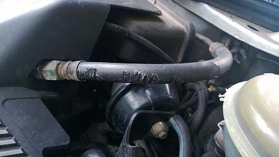Need new fuel line.. Rodents ate mine... Where to get?-wp_20130721_001.jpg