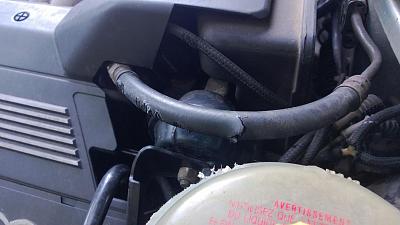 Need new fuel line.. Rodents ate mine... Where to get?-wp_20130721_002.jpg