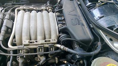 Need new fuel line.. Rodents ate mine... Where to get?-wp_20130721_003.jpg