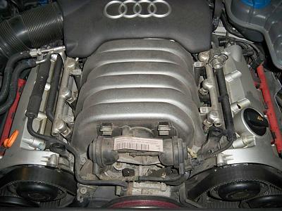 03 A6 Timing Belt-100_8628.jpg