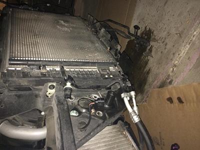 Radiator hoses help!!-image.jpg