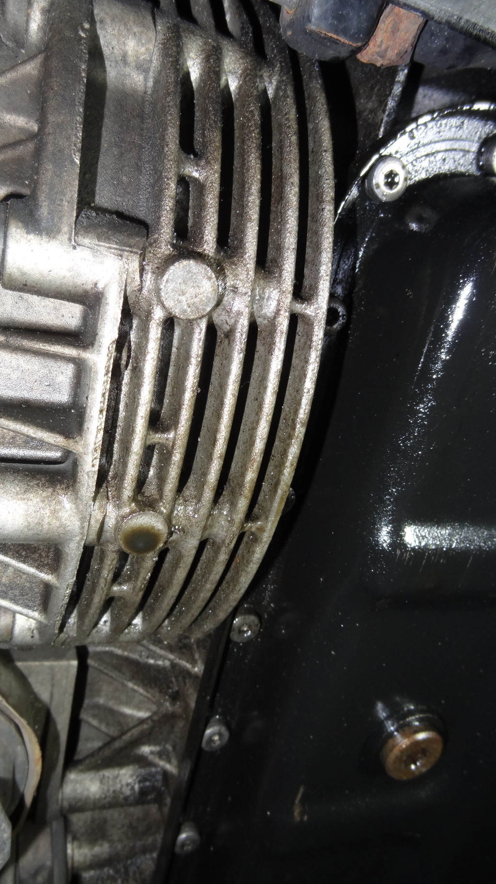 Name:  DSC00980.jpg
Views: 144
Size:  587.4 KB