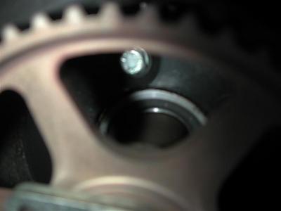 Ok.. My turn: Question about TB-dscn4205-medium-.jpg