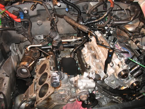 Name:  IMG_1505.jpg
Views: 3466
Size:  68.9 KB