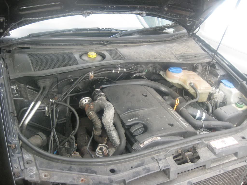 Name:  IMG_0304.jpg
Views: 72
Size:  128.2 KB