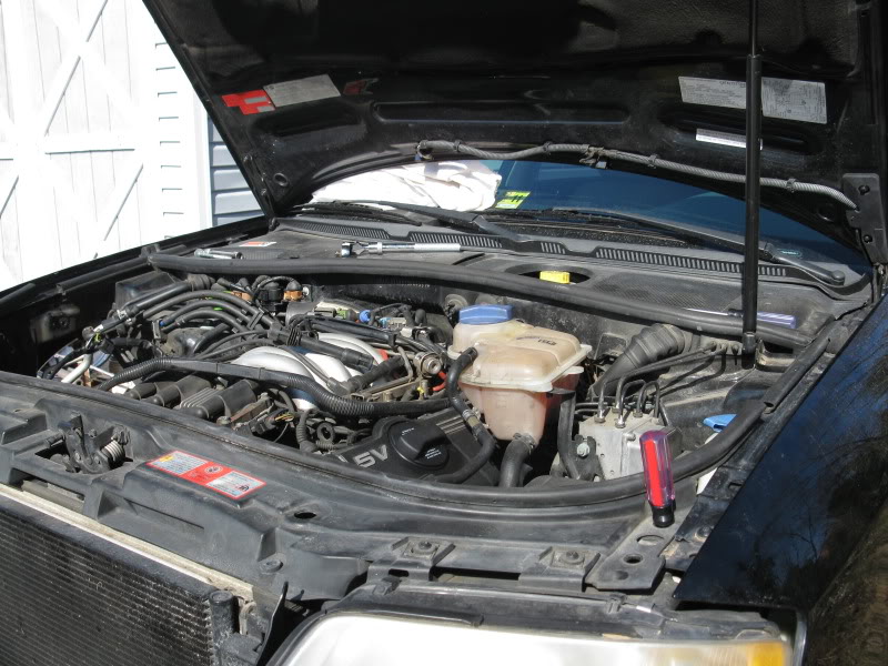 Name: IMG_0378.jpg
Views: 1949
Size: 110.6 KB