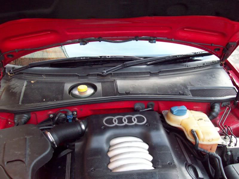 Name:  100_0686.jpg
Views: 88
Size:  91.3 KB