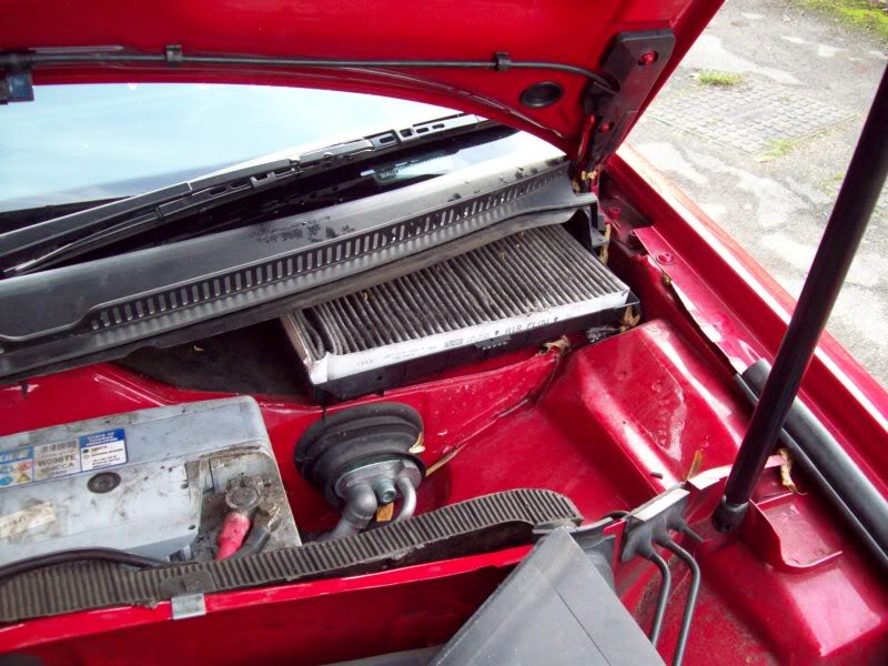 Name:  100_0689.jpg
Views: 83
Size:  107.2 KB