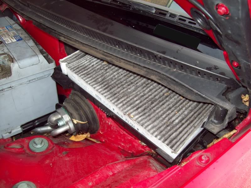 Name:  100_0691bcopy.jpg
Views: 92
Size:  117.3 KB