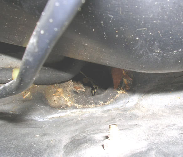 Name:  Drain-3.jpg
Views: 5647
Size:  43.9 KB