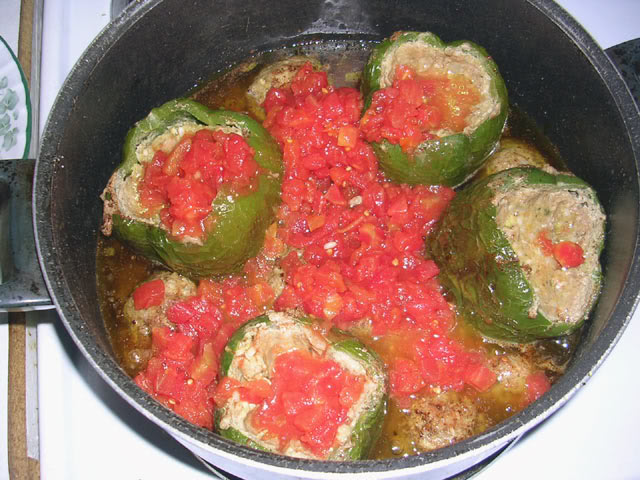Name: Peppers3.jpg
Views: 119
Size: 77.9 KB