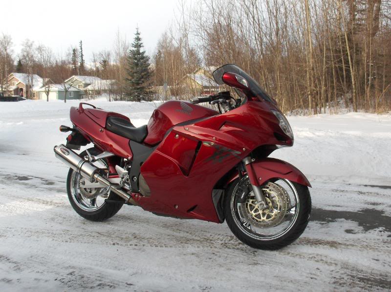 Name:  BEAUTY.jpg
Views: 46
Size:  88.2 KB