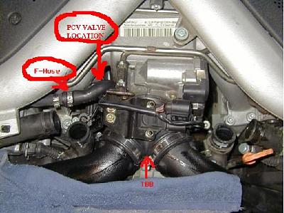 PCV valve question-dd.jpg