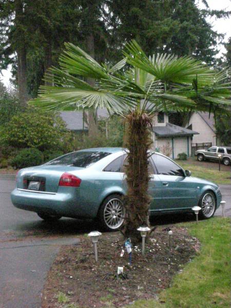 Name:  audi010.jpg
Views: 875
Size:  62.0 KB