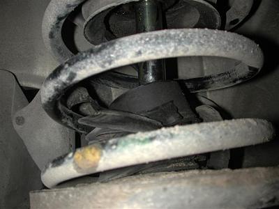 DIY: BlauSport Struts-dscn4290-small-.jpg