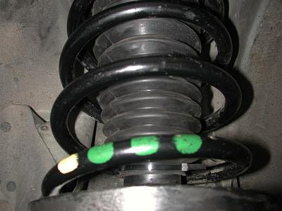 DIY: BlauSport Struts-dscn4302-small-.jpg